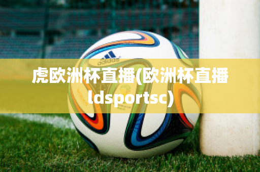 虎歐洲杯直播(歐洲杯直播ldsportsc)