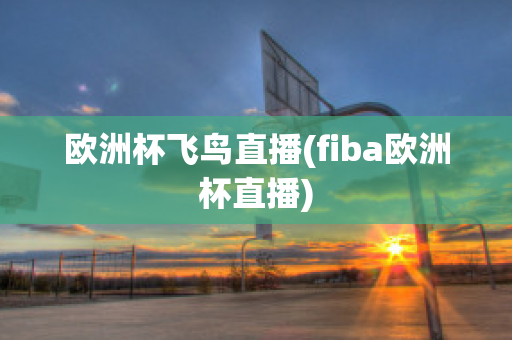 歐洲杯飛鳥直播(fiba歐洲杯直播)