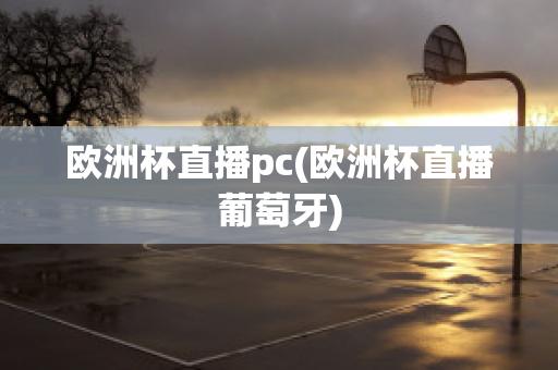 歐洲杯直播pc(歐洲杯直播葡萄牙)