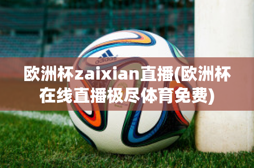 歐洲杯zaixian直播(歐洲杯在線直播極盡體育免費(fèi))