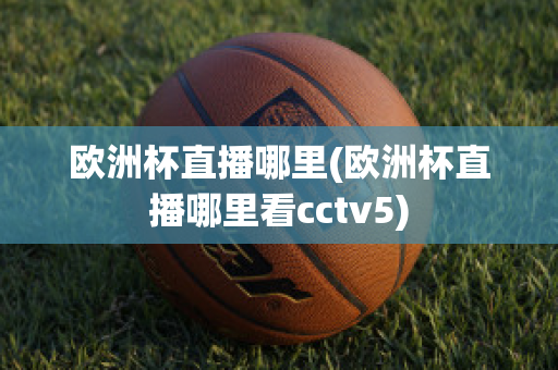 歐洲杯直播哪里(歐洲杯直播哪里看cctv5)