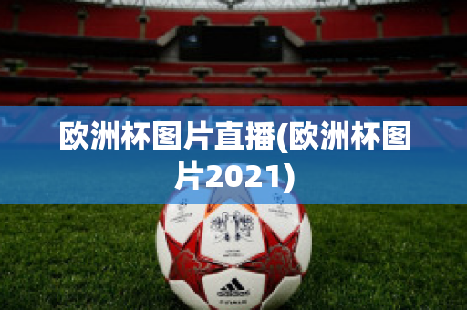 歐洲杯圖片直播(歐洲杯圖片2021)