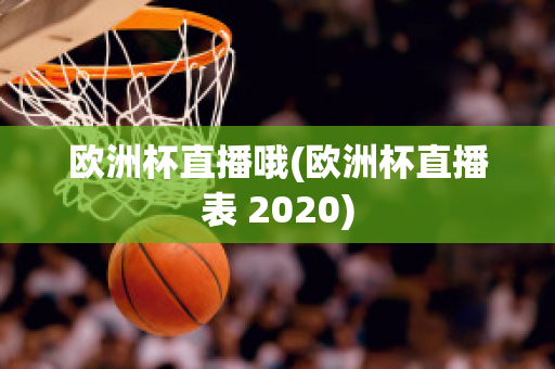 歐洲杯直播哦(歐洲杯直播表 2020)