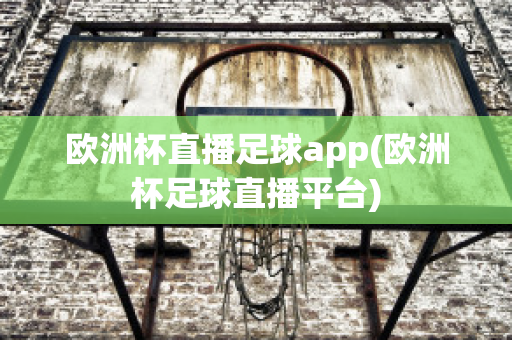 歐洲杯直播足球app(歐洲杯足球直播平臺)