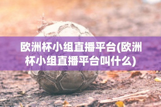 歐洲杯小組直播平臺(tái)(歐洲杯小組直播平臺(tái)叫什么)