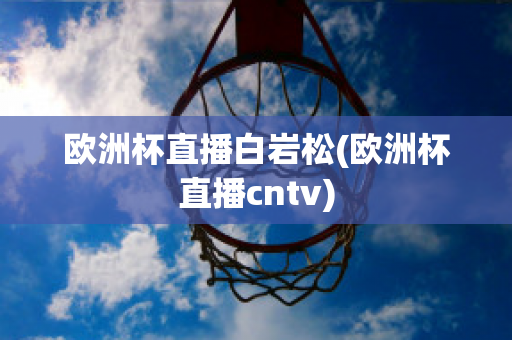 歐洲杯直播白巖松(歐洲杯直播cntv)