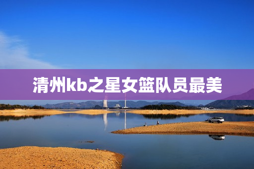 清州kb之星女籃隊(duì)員最美