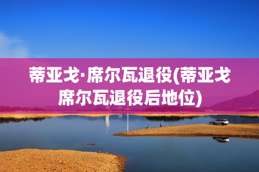 蒂亞戈·席爾瓦退役(蒂亞戈席爾瓦退役后地位)