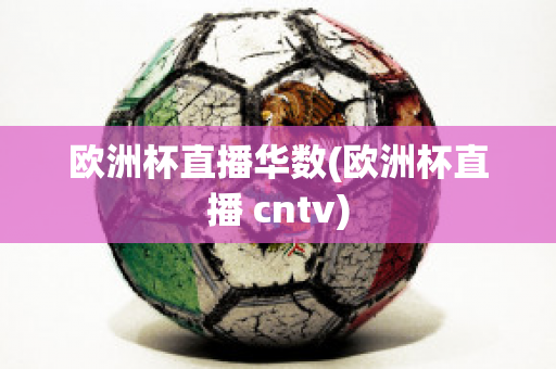 歐洲杯直播華數(shù)(歐洲杯直播 cntv)