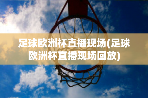 足球歐洲杯直播現(xiàn)場(chǎng)(足球歐洲杯直播現(xiàn)場(chǎng)回放)