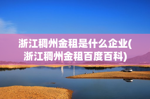 浙江稠州金租是什么企業(yè)(浙江稠州金租百度百科)