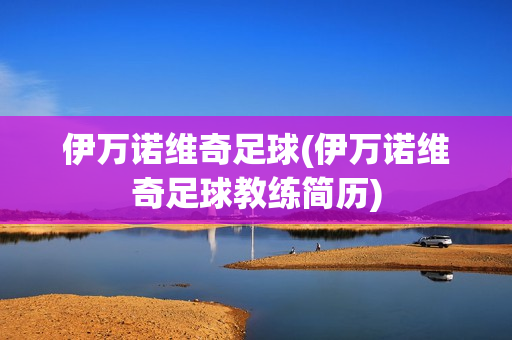 伊萬(wàn)諾維奇足球(伊萬(wàn)諾維奇足球教練簡(jiǎn)歷)