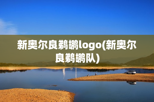 新奧爾良鵜鶘logo(新奧爾良鵜鶘隊)