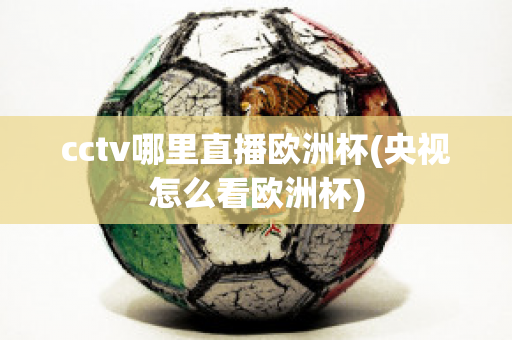 cctv哪里直播歐洲杯(央視怎么看歐洲杯)