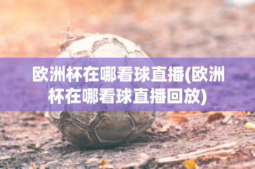 歐洲杯在哪看球直播(歐洲杯在哪看球直播回放)