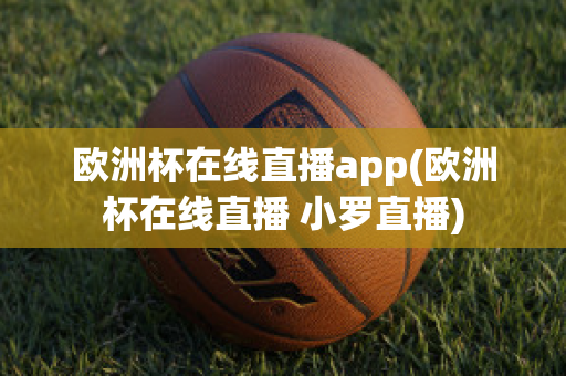 歐洲杯在線直播app(歐洲杯在線直播 小羅直播)