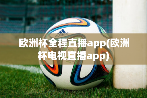 歐洲杯全程直播app(歐洲杯電視直播app)