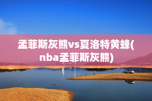 孟菲斯灰熊vs夏洛特黃蜂(nba孟菲斯灰熊)