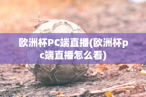 歐洲杯PC端直播(歐洲杯pc端直播怎么看)