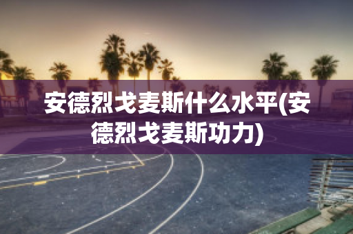 安德烈戈麥斯什么水平(安德烈戈麥斯功力)