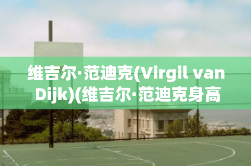 維吉爾·范迪克(Virgil van Dijk)(維吉爾·范迪克身高)