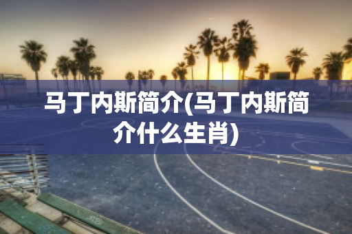 馬丁內(nèi)斯簡(jiǎn)介(馬丁內(nèi)斯簡(jiǎn)介什么生肖)