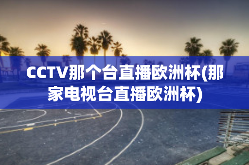 CCTV那個臺直播歐洲杯(那家電視臺直播歐洲杯)