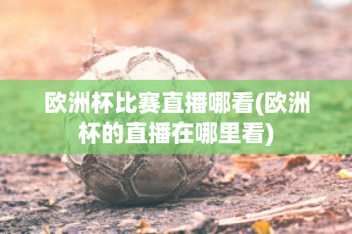 歐洲杯比賽直播哪看(歐洲杯的直播在哪里看)