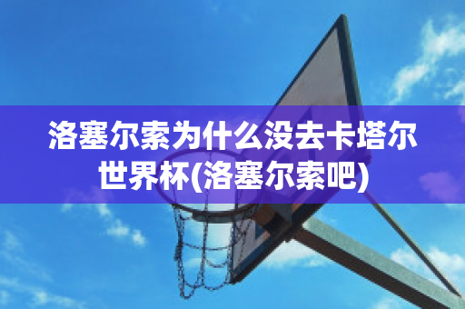 洛塞爾索為什么沒去卡塔爾世界杯(洛塞爾索吧)