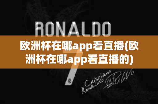 歐洲杯在哪app看直播(歐洲杯在哪app看直播的)