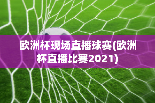 歐洲杯現(xiàn)場(chǎng)直播球賽(歐洲杯直播比賽2021)