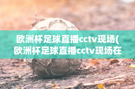 歐洲杯足球直播cctv現(xiàn)場(歐洲杯足球直播cctv現(xiàn)場在線觀看)