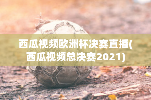 西瓜視頻歐洲杯決賽直播(西瓜視頻總決賽2021)