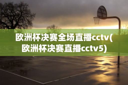 歐洲杯決賽全場直播cctv(歐洲杯決賽直播cctv5)