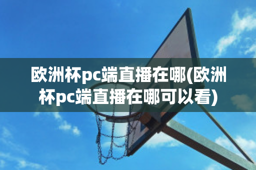 歐洲杯pc端直播在哪(歐洲杯pc端直播在哪可以看)