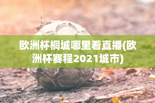 歐洲杯桐城哪里看直播(歐洲杯賽程2021城市)