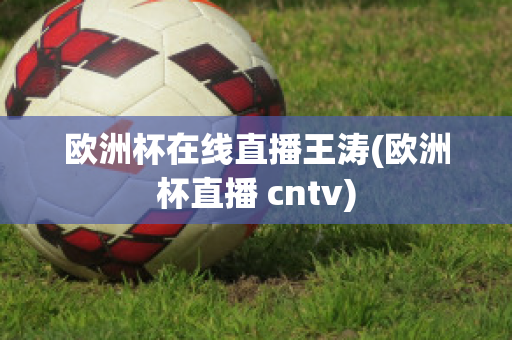 歐洲杯在線直播王濤(歐洲杯直播 cntv)