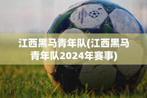 江西黑馬青年隊(duì)(江西黑馬青年隊(duì)2024年賽事)