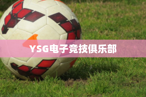 YSG電子競(jìng)技俱樂部