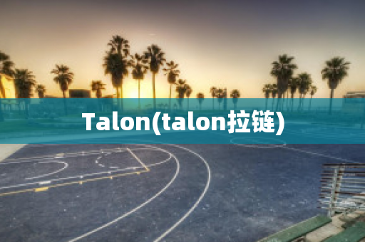 Talon(talon拉鏈)