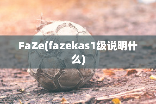 FaZe(fazekas1級(jí)說明什么)