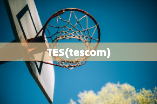 TES(tescom)