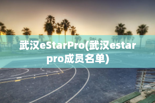 武漢eStarPro(武漢estarpro成員名單)