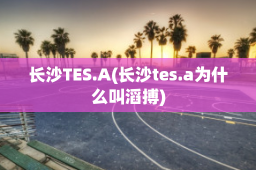 長沙TES.A(長沙tes.a為什么叫滔搏)