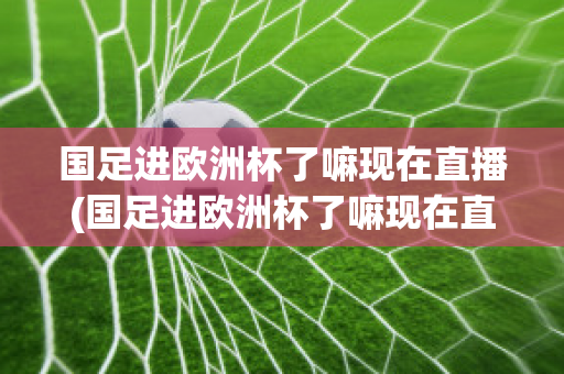 國足進(jìn)歐洲杯了嘛現(xiàn)在直播(國足進(jìn)歐洲杯了嘛現(xiàn)在直播在哪看)