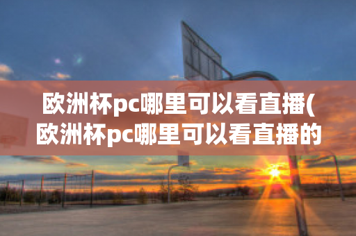 歐洲杯pc哪里可以看直播(歐洲杯pc哪里可以看直播的)