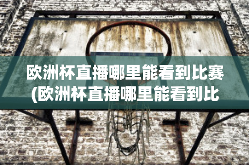 歐洲杯直播哪里能看到比賽(歐洲杯直播哪里能看到比賽結(jié)果)