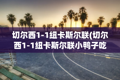 切爾西1-1紐卡斯?fàn)柭?lián)(切爾西1-1紐卡斯?fàn)柭?lián)小鴨子吃什么)