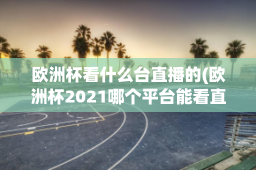 歐洲杯看什么臺直播的(歐洲杯2021哪個平臺能看直播)