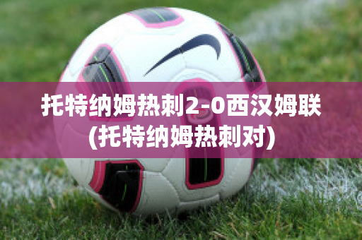 托特納姆熱刺2-0西漢姆聯(lián)(托特納姆熱刺對(duì))